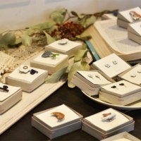 ギャラリープルプル