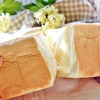 リストランテ フォレスタ・ヴェルデ