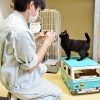 あにまある/ヤマト運輸株式会社