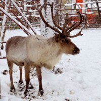 旭川市旭山動物園