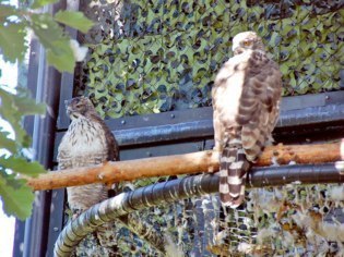 旭川市旭山動物園