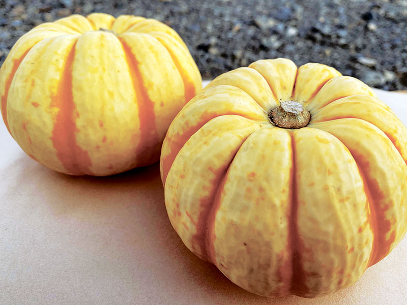 鷹栖町 旭川 道北のニュース ライナーウェブ