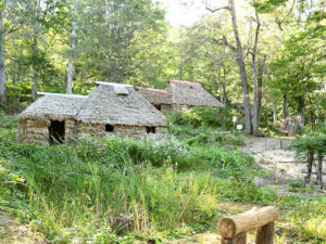 旭川市北邦野草園