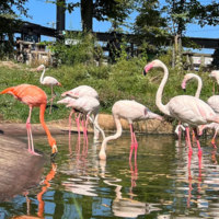 旭川市旭山動物園