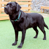 旭川市旭山動物園