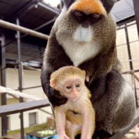 旭川市旭山動物園