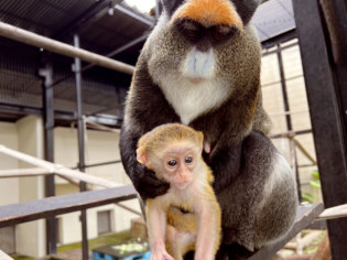 旭川市旭山動物園