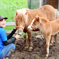NPO法人あさひかわ乗馬クラブ