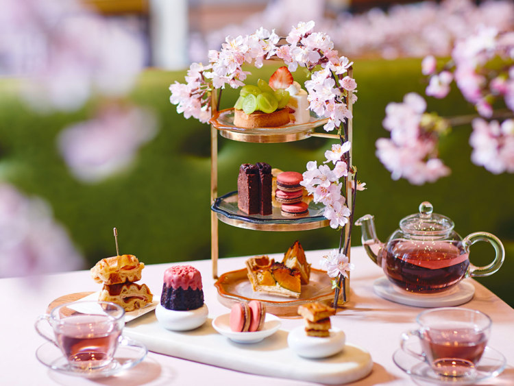 地元スイーツや紅茶と共に 満開の桜の下でお花見を - OMO7旭川 by 星野