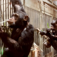 旭川市旭山動物園