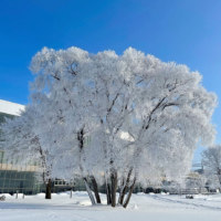 あさひかわ北彩都ガーデン(ガーデンセンター)