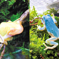 旭川市旭山動物園