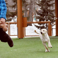 旭川市旭山動物園