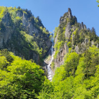 (株)りんゆう観光