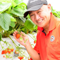 丸北いちご農園