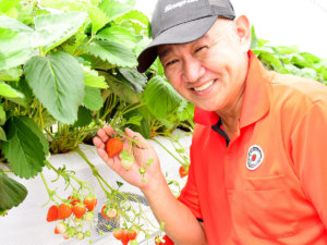 丸北いちご農園