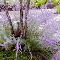 あさひかわ北彩都ガーデン(ガーデンセンター)