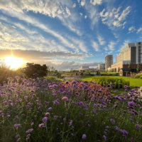 旭川市/北彩都ガーデン