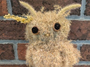 あさひかわ北彩都ガーデン(ガーデンセンター)