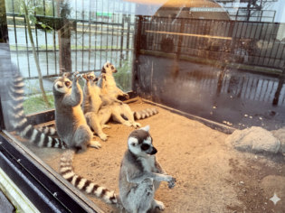 旭川市旭山動物園