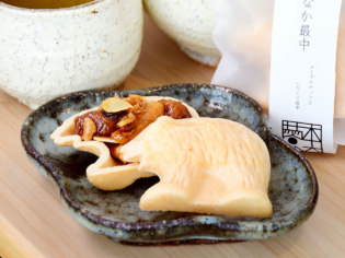 旅する盆栽雑貨店 木天蓼(またたび)