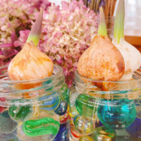 あさひかわ北彩都ガーデン(ガーデンセンター)