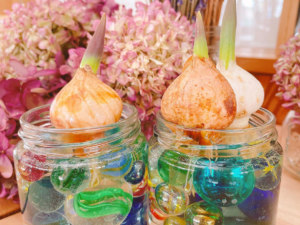 あさひかわ北彩都ガーデン(ガーデンセンター)